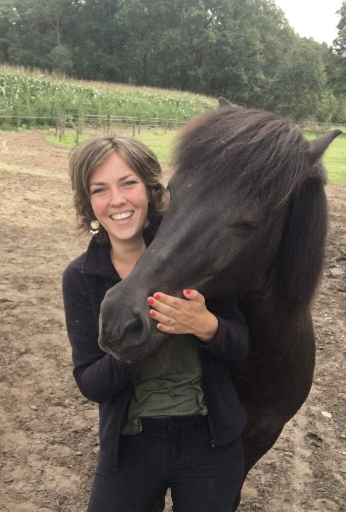 paardencoach opleiding