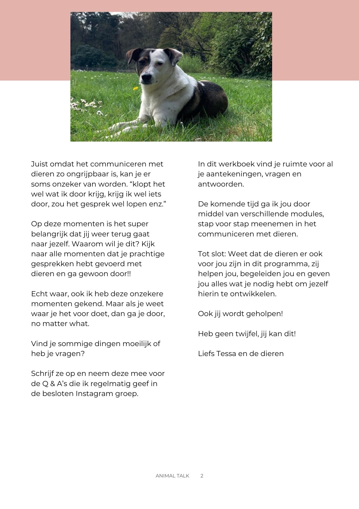 pagina-2-1